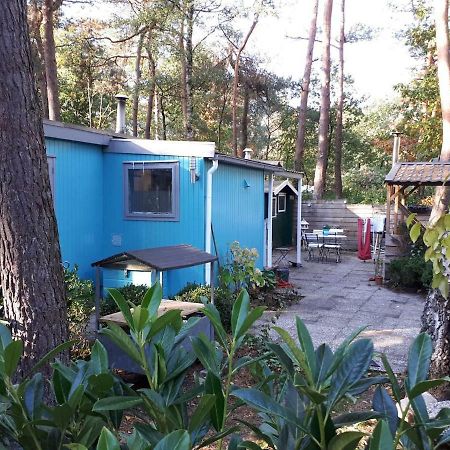 Boshuis Turquoise / Smaakvol Genieten Op De Veluwe Hoenderloo Luaran gambar