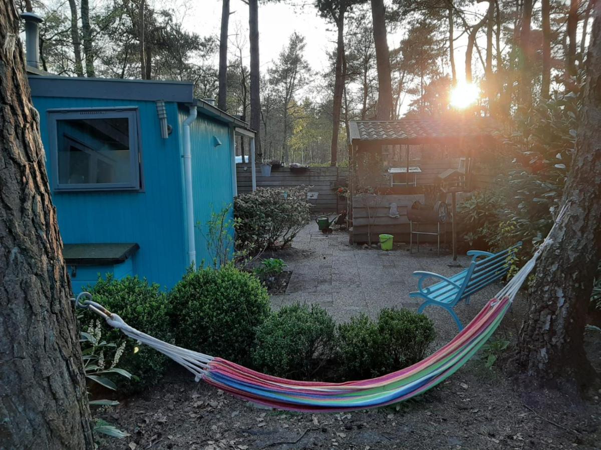 Boshuis Turquoise / Smaakvol Genieten Op De Veluwe Hoenderloo Luaran gambar