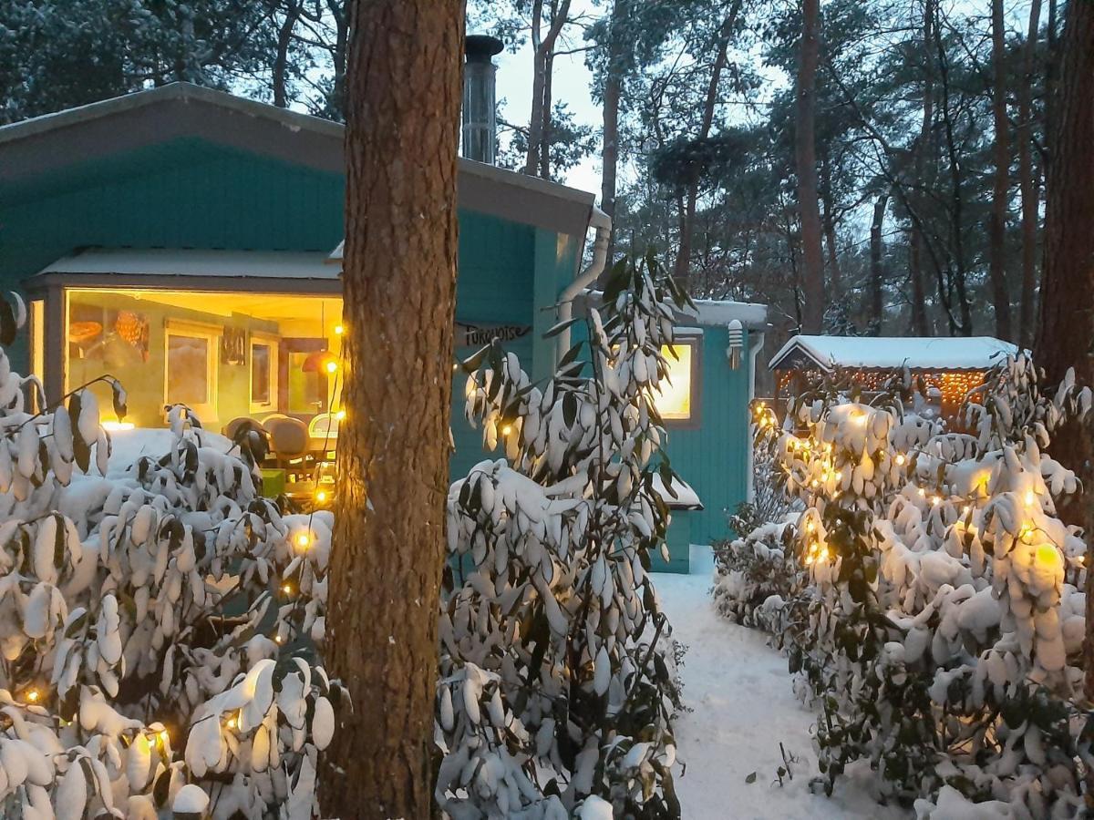 Boshuis Turquoise / Smaakvol Genieten Op De Veluwe Hoenderloo Luaran gambar