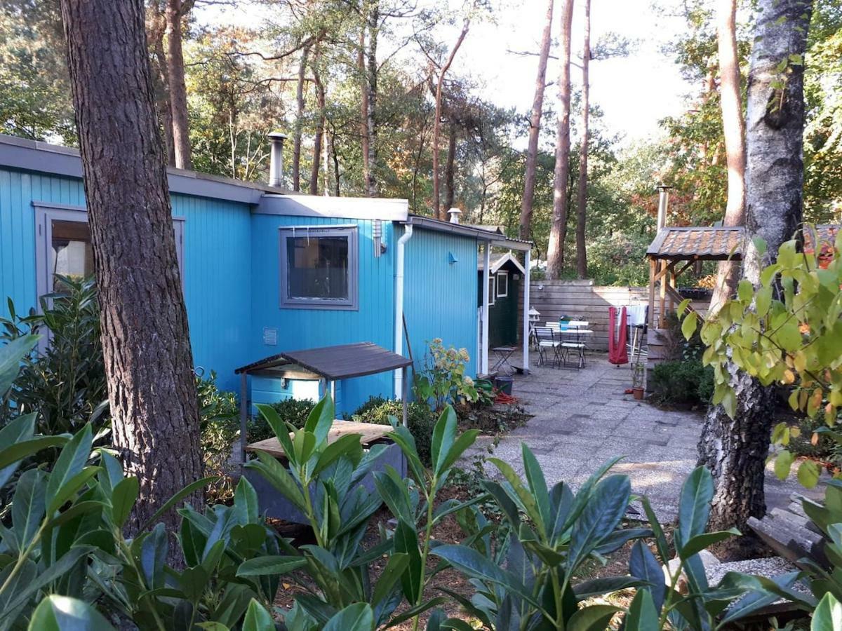 Boshuis Turquoise / Smaakvol Genieten Op De Veluwe Hoenderloo Luaran gambar