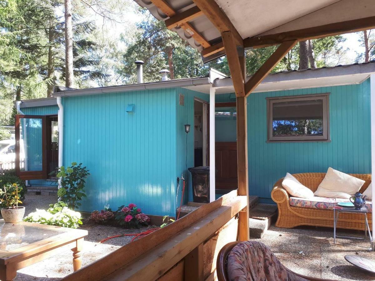 Boshuis Turquoise / Smaakvol Genieten Op De Veluwe Hoenderloo Luaran gambar