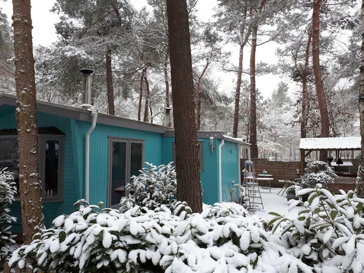 Boshuis Turquoise / Smaakvol Genieten Op De Veluwe Hoenderloo Luaran gambar