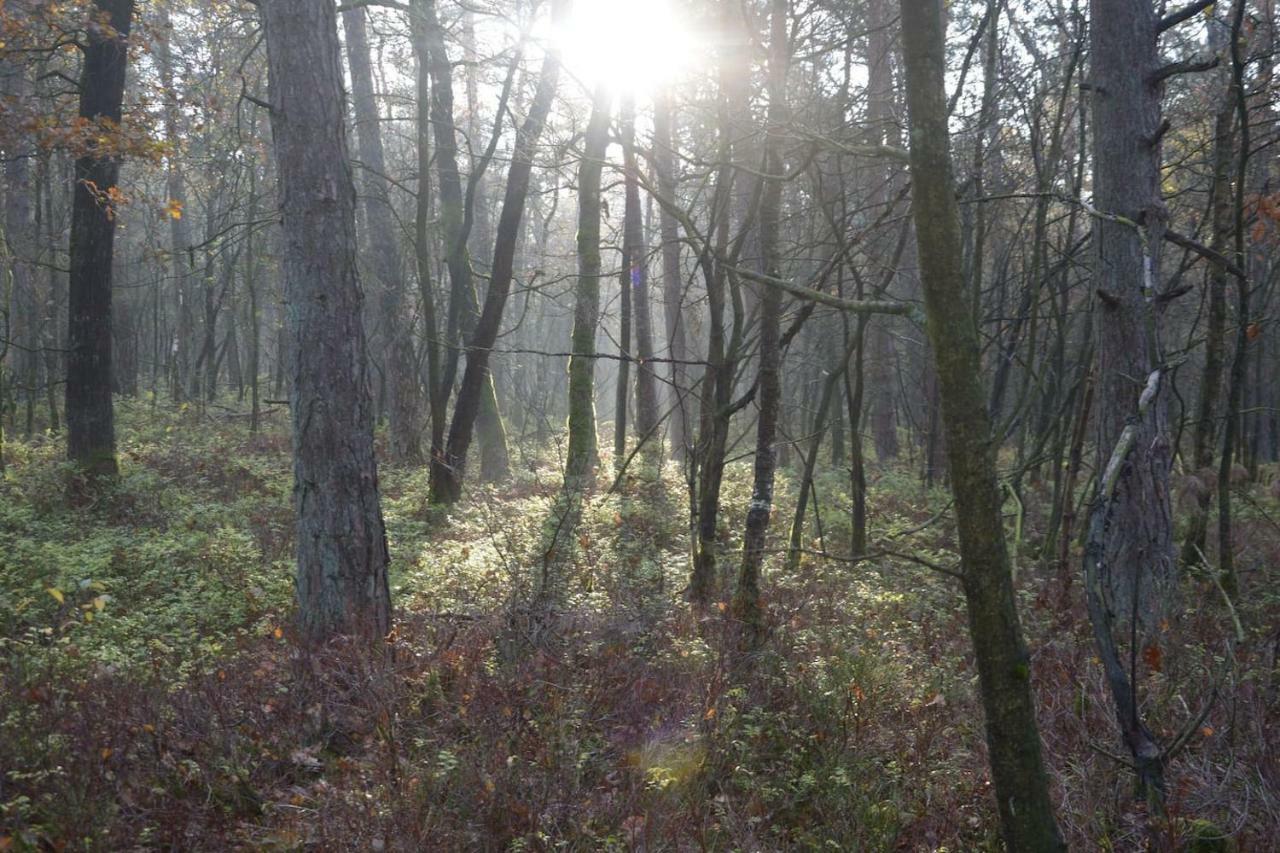 Boshuis Turquoise / Smaakvol Genieten Op De Veluwe Hoenderloo Luaran gambar