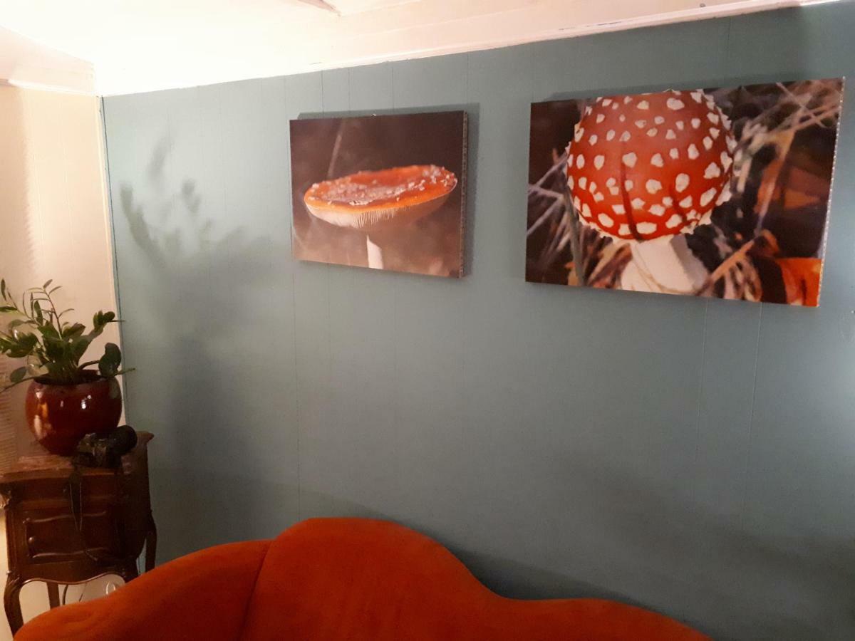 Boshuis Turquoise / Smaakvol Genieten Op De Veluwe Hoenderloo Luaran gambar