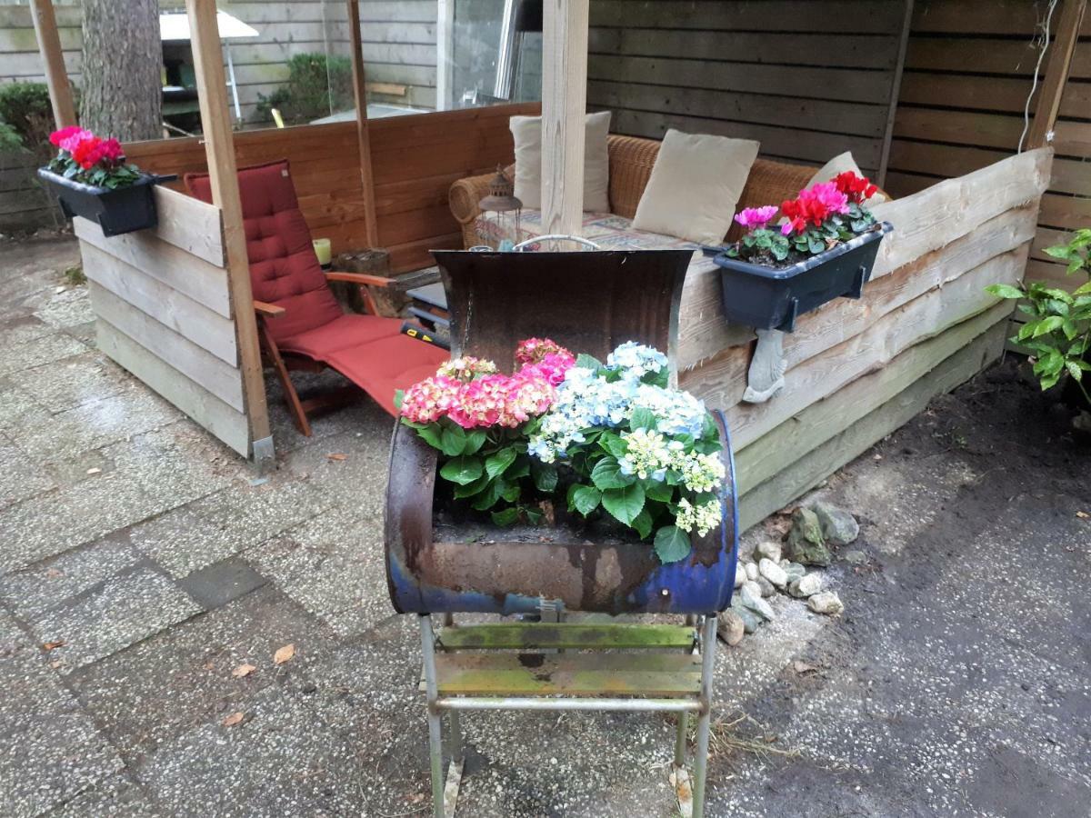 Boshuis Turquoise / Smaakvol Genieten Op De Veluwe Hoenderloo Luaran gambar