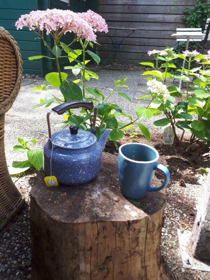 Boshuis Turquoise / Smaakvol Genieten Op De Veluwe Hoenderloo Luaran gambar