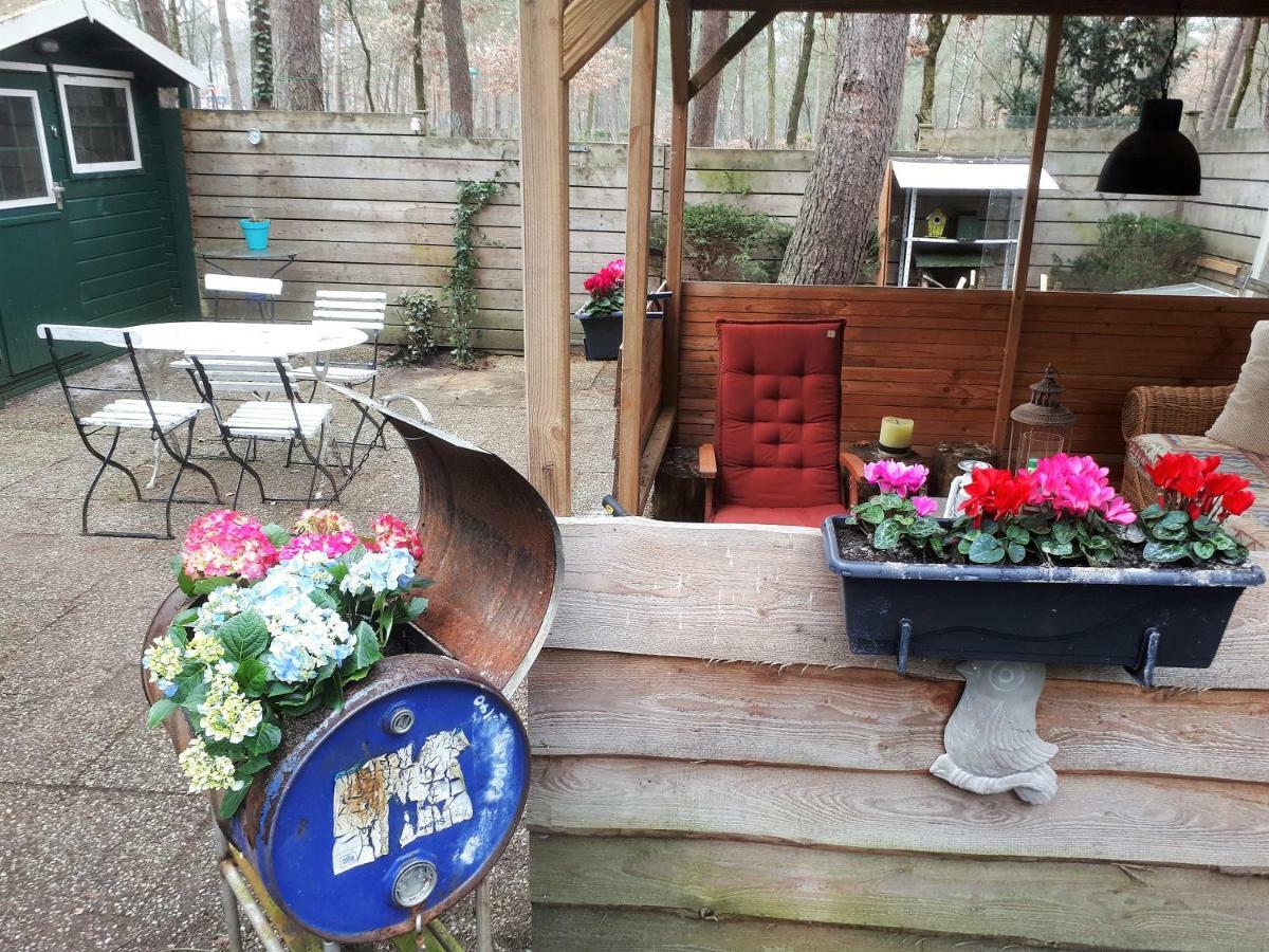 Boshuis Turquoise / Smaakvol Genieten Op De Veluwe Hoenderloo Luaran gambar