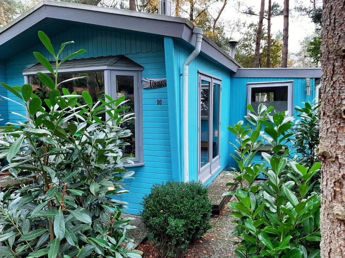 Boshuis Turquoise / Smaakvol Genieten Op De Veluwe Hoenderloo Luaran gambar