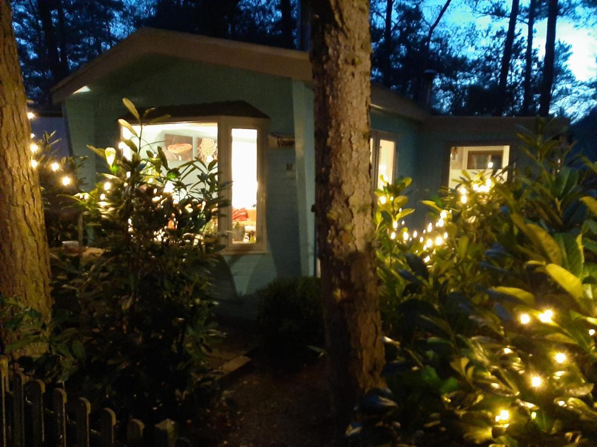 Boshuis Turquoise / Smaakvol Genieten Op De Veluwe Hoenderloo Luaran gambar