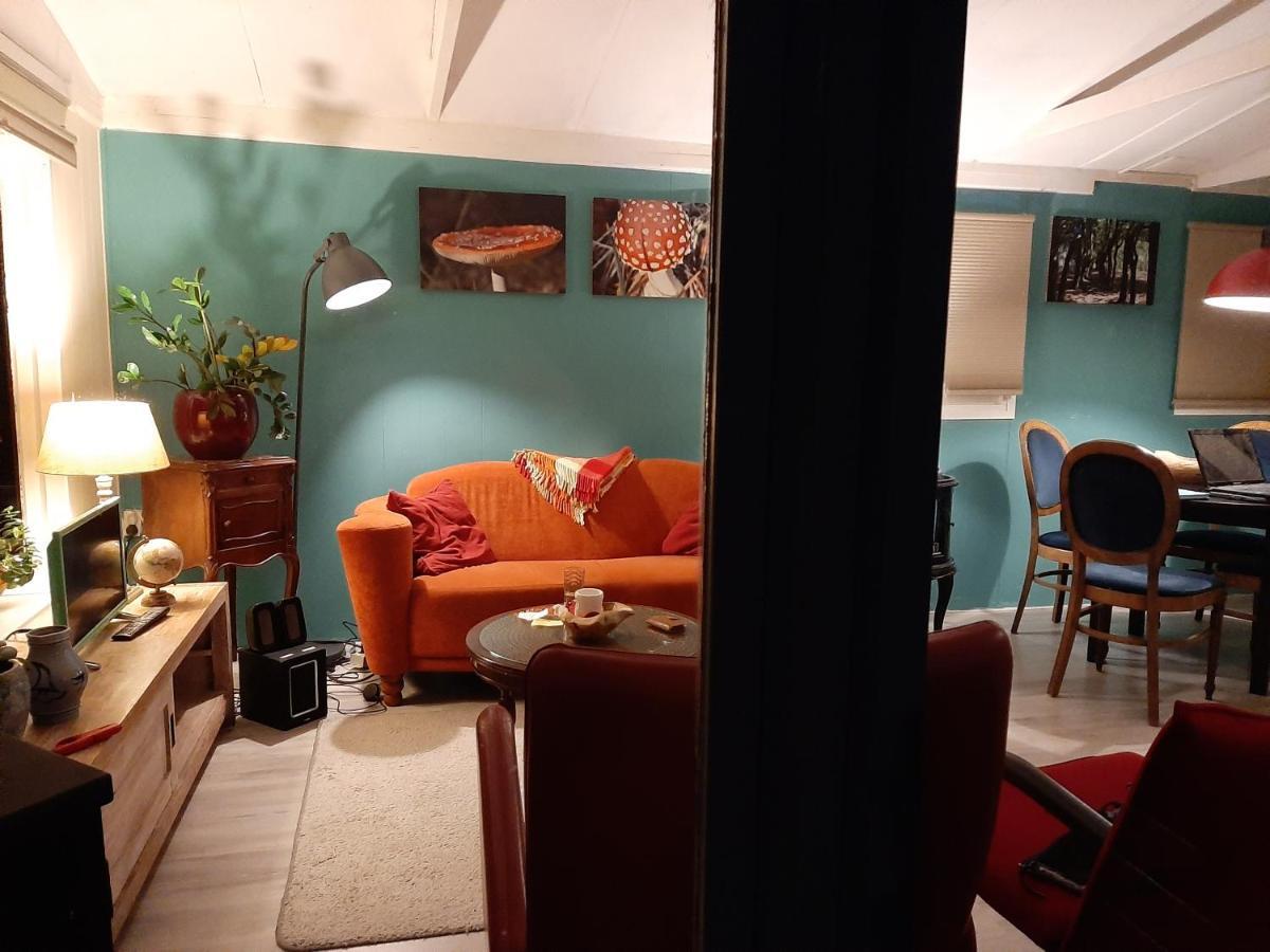 Boshuis Turquoise / Smaakvol Genieten Op De Veluwe Hoenderloo Luaran gambar